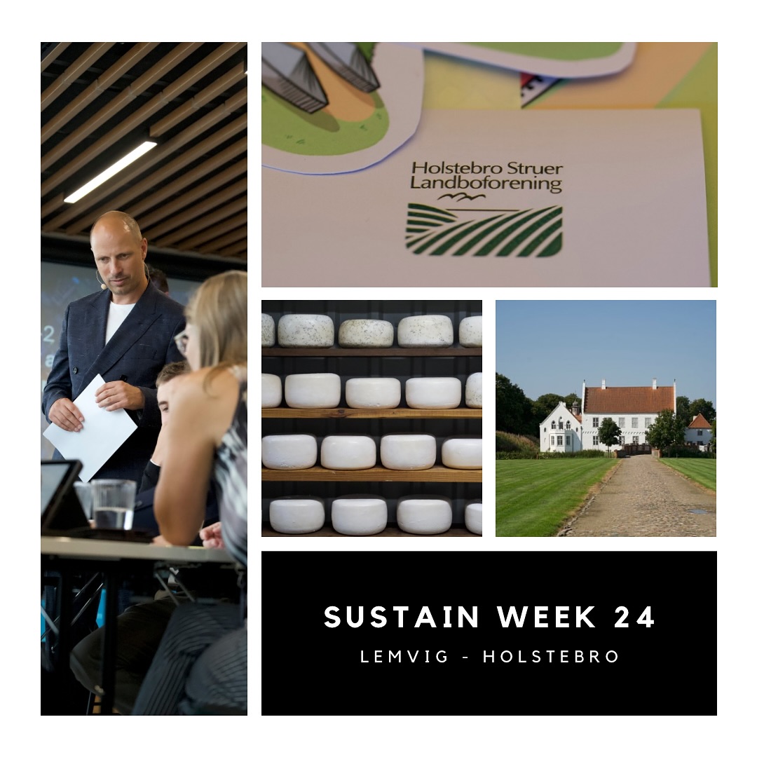 Sustain Week 24