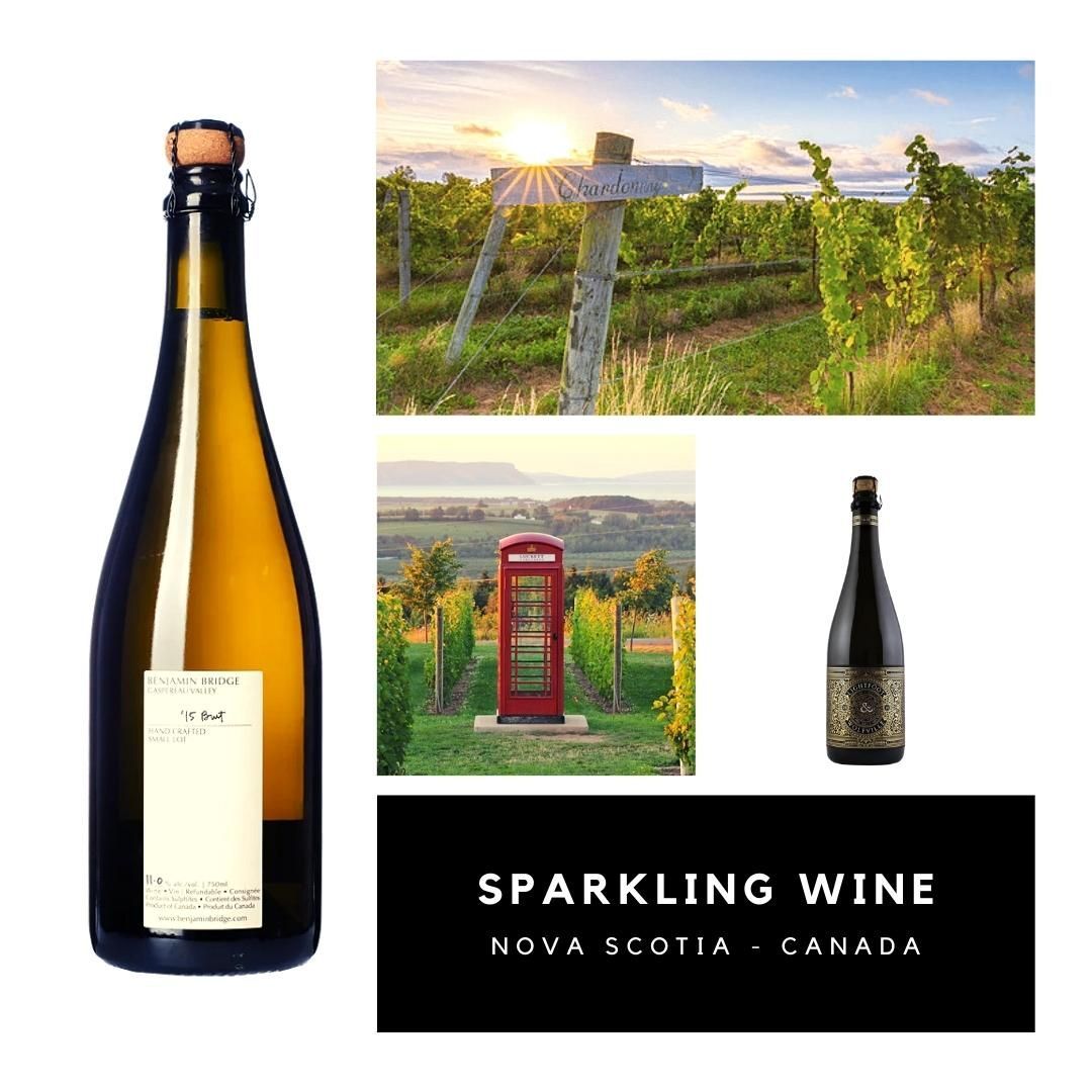 Sparkling Wine
